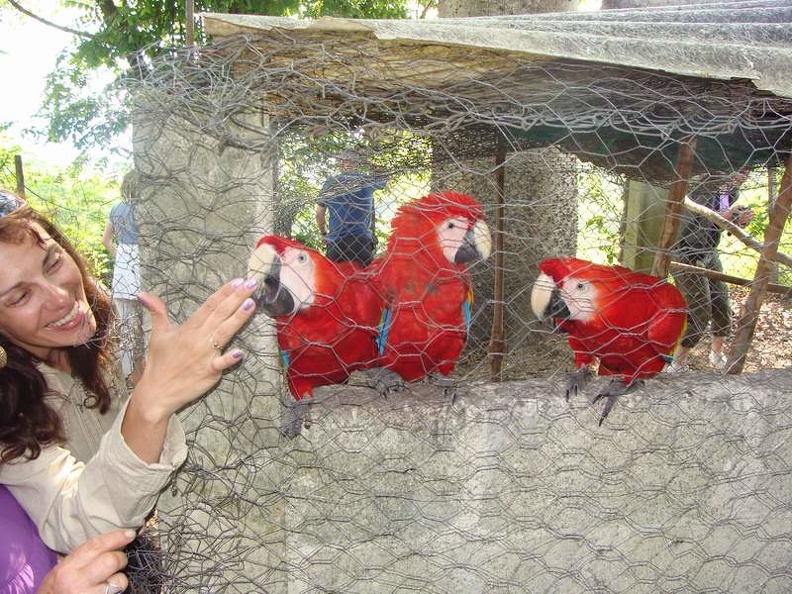 Поездка Оксаны Руденко в Мексику, июнь 2010 