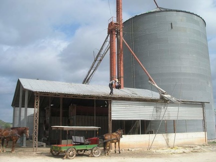 Поездка Оксаны Руденко в Мексику,июнь 2010