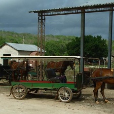 Поездка Оксаны Руденко в Мексику,июнь 2010