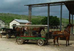 Поездка Оксаны Руденко в Мексику,июнь 2010