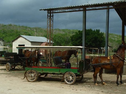 Поездка Оксаны Руденко в Мексику,июнь 2010