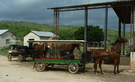 Поездка Оксаны Руденко в Мексику,июнь 2010