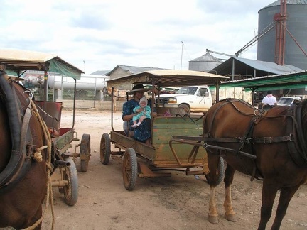 Поездка Оксаны Руденко в Мексику,июнь 2010
