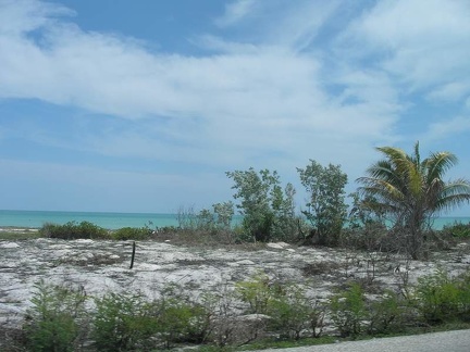 Поездка Оксаны Руденко в Мексику,июнь 2010