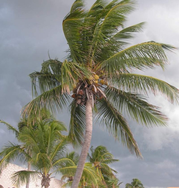 Поездка Оксаны Руденко в Мексику,июнь 2010