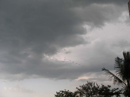 Поездка Оксаны Руденко в Мексику,июнь 2010