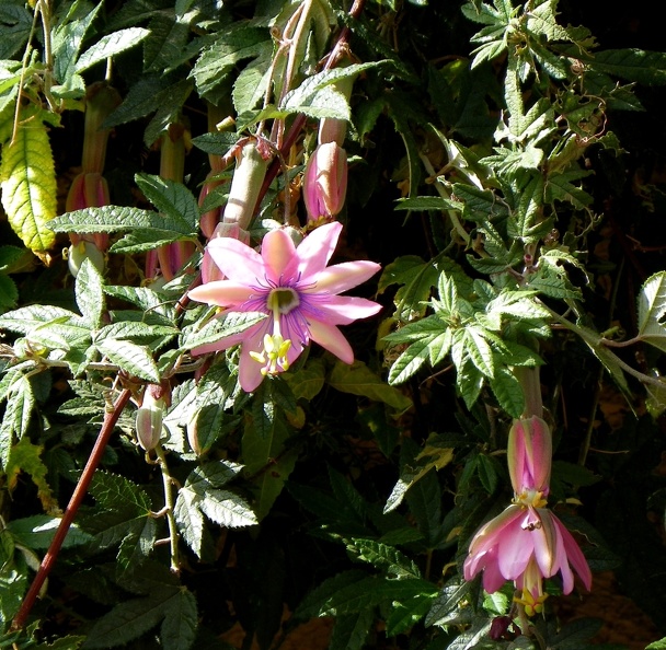image010_004.jpg