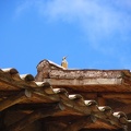 image011_003.jpg