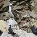 image012.jpg