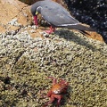 image013.jpg