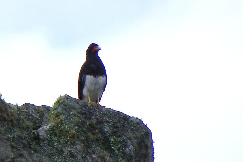 image013_001.jpg