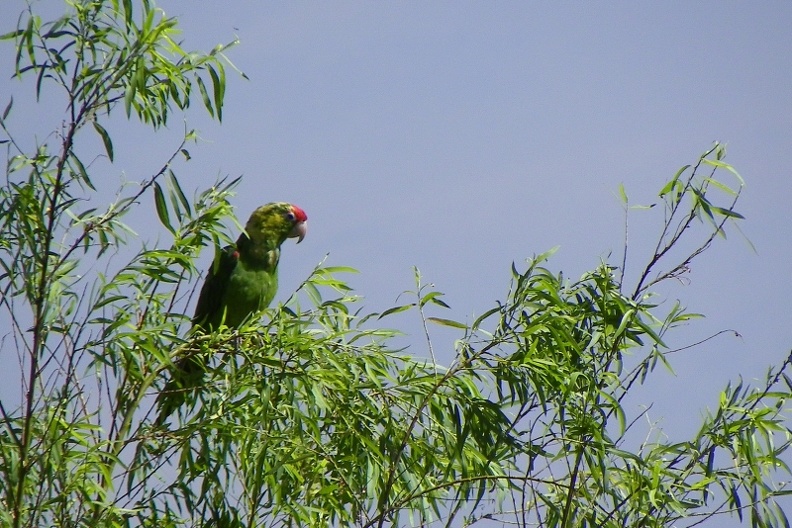 image013_006.jpg