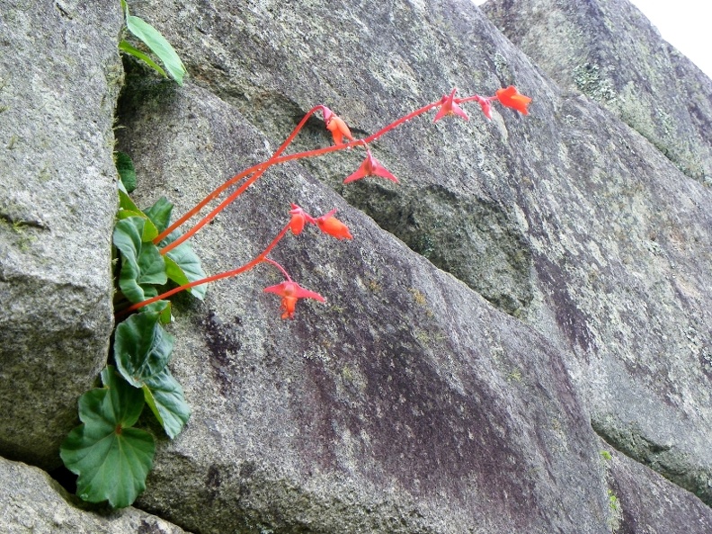 image014_001.jpg
