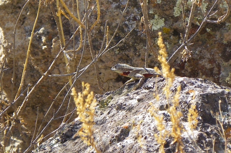 image014_005.jpg