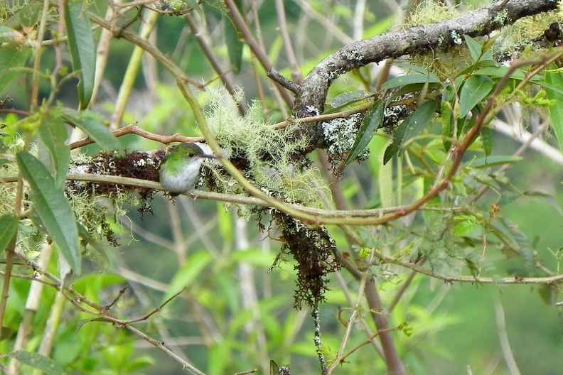image015_001.jpg