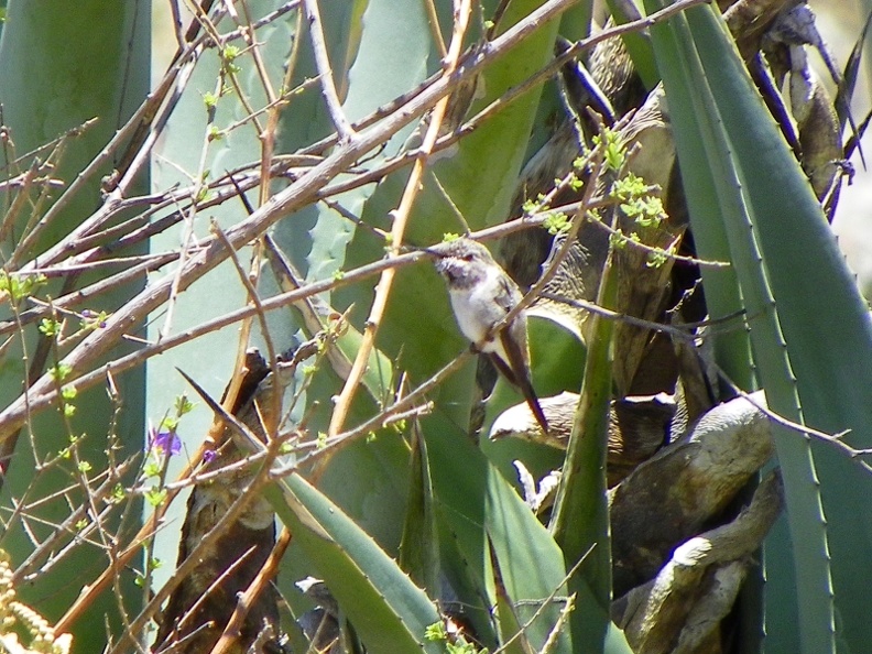 image017_004.jpg