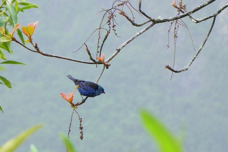 image019_001.jpg