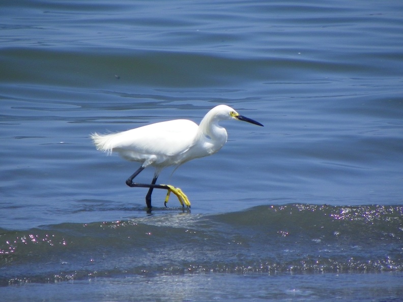 image020.jpg