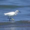 image020.jpg