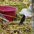 image021_001.jpg