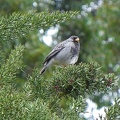 image024_001.jpg