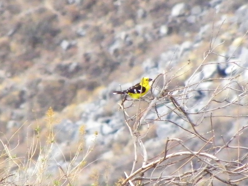 image024_002.jpg