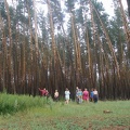 Поход на байдарках по р.Сейм, июль 2009