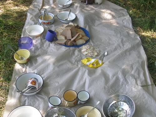 Поход на байдарках по р.Сейм, июль 2009