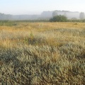 Поход на байдарках по р.Сейм, июль 2009