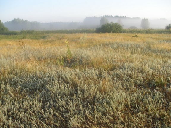 Поход на байдарках по р.Сейм, июль 2009
