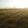Поход на байдарках по р.Сейм, июль 2009