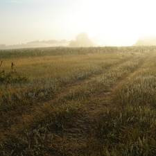 Поход на байдарках по р.Сейм, июль 2009