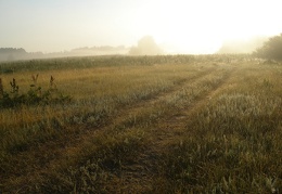 Поход на байдарках по р.Сейм, июль 2009