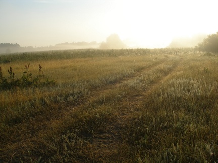 Поход на байдарках по р.Сейм, июль 2009