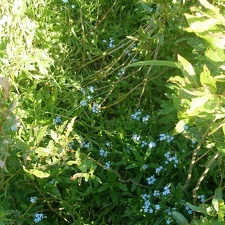Поход на байдарках по р.Сейм, июль 2009
