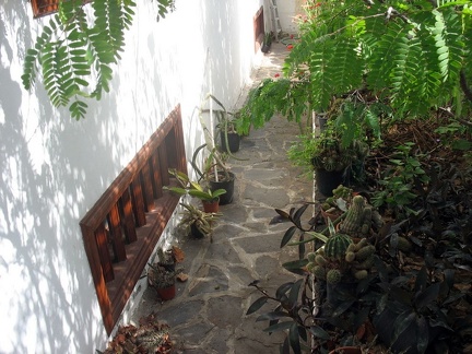 Поездка Далии Иванаускайте на о.Тенерифе, февраль 2009