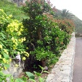 IMG_4276.jpg