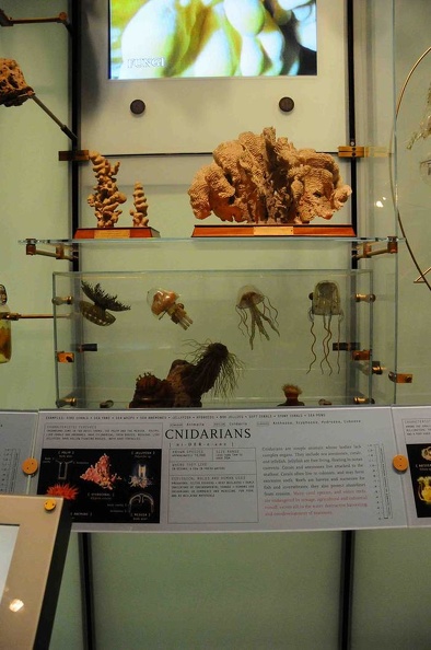 JPG_2962.JPG