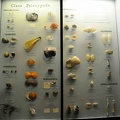 JPG_2987.JPG