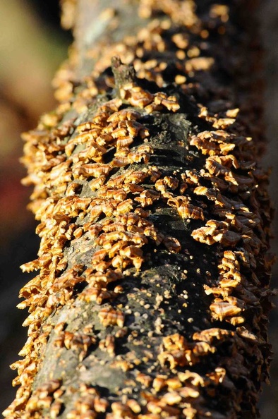 JPG_3186.jpg