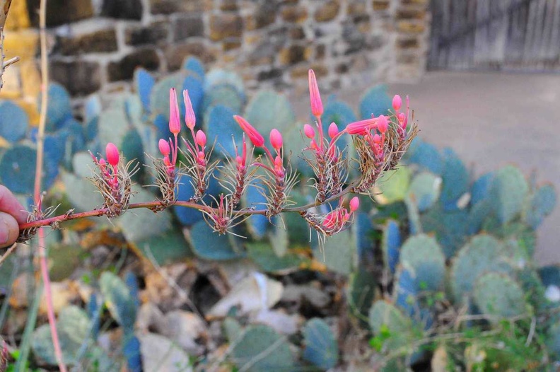 JPG_5967.jpg