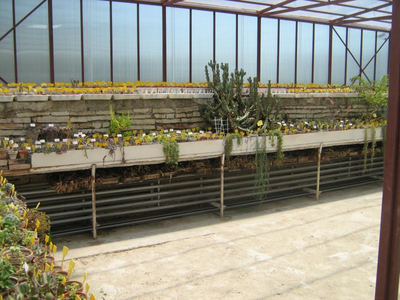 Ботанический сад в Балчике (Болгария) 2008