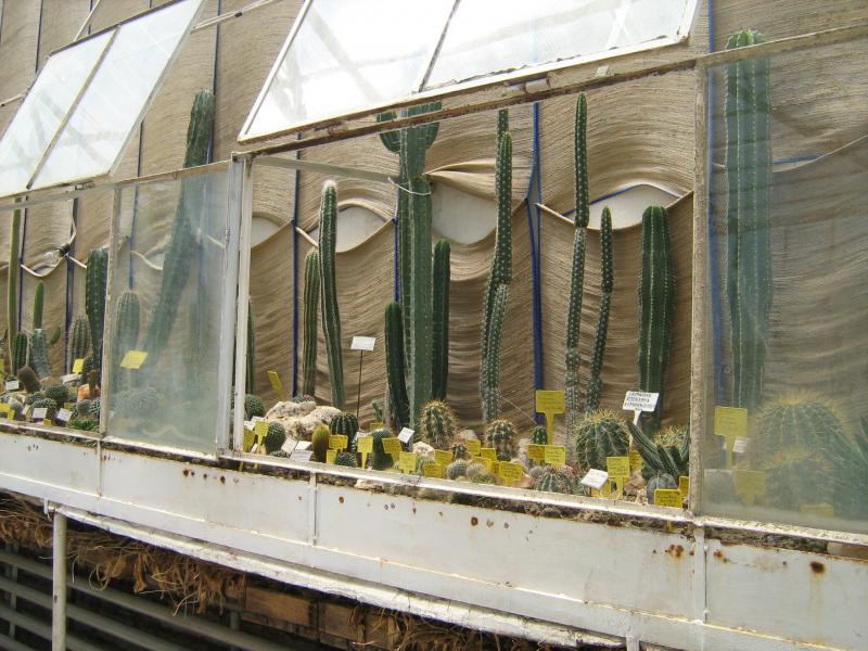 Ботанический сад в Балчике (Болгария) 2008