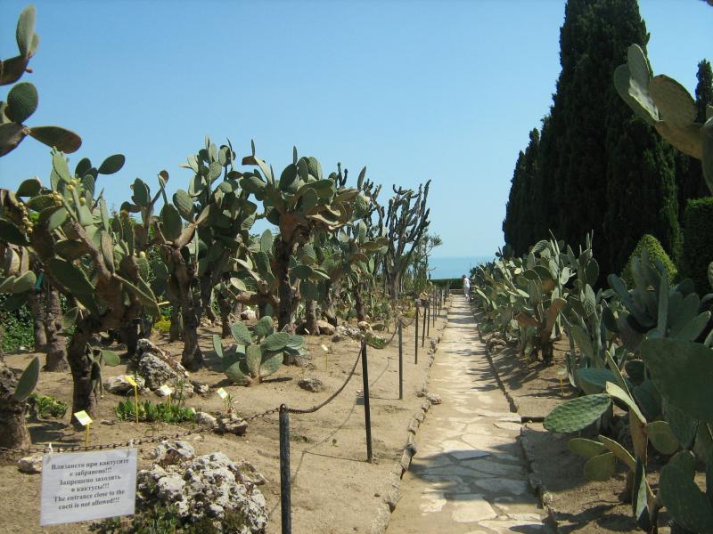 Ботанический сад в Балчике (Болгария) 2008