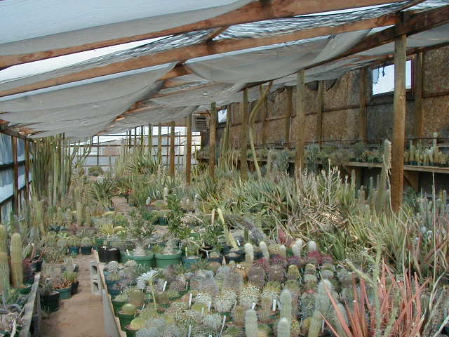 26-5 tall and warm