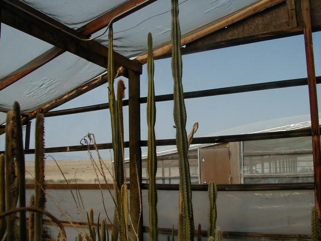 28-5 west wall