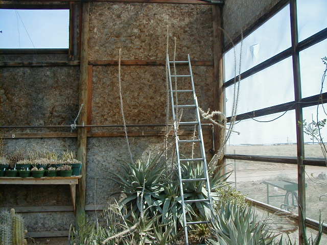 30-5 pollination aid