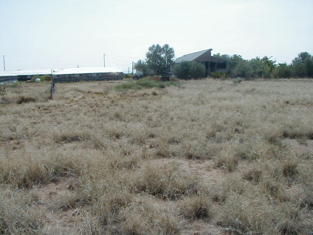 39- east to house