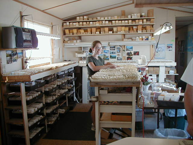 57-seed packet trays