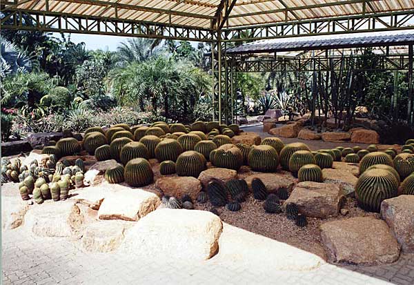 Ботанический сад &quot;Nong Nooch&quot;
